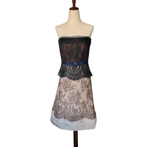 Carolina Herrera Dresses & Skirts - Carolina Herrera Lace Strapless Silk Dress Formal Evening Elegant sz 2